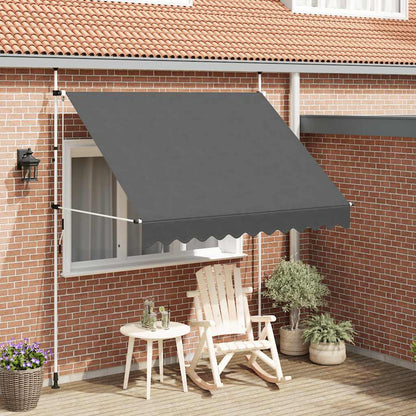 vidaXL Store banne manuel rétractable 250 cm anthracite