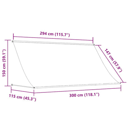 vidaXL Einziehbare Markise 300×150 cm Anthrazit