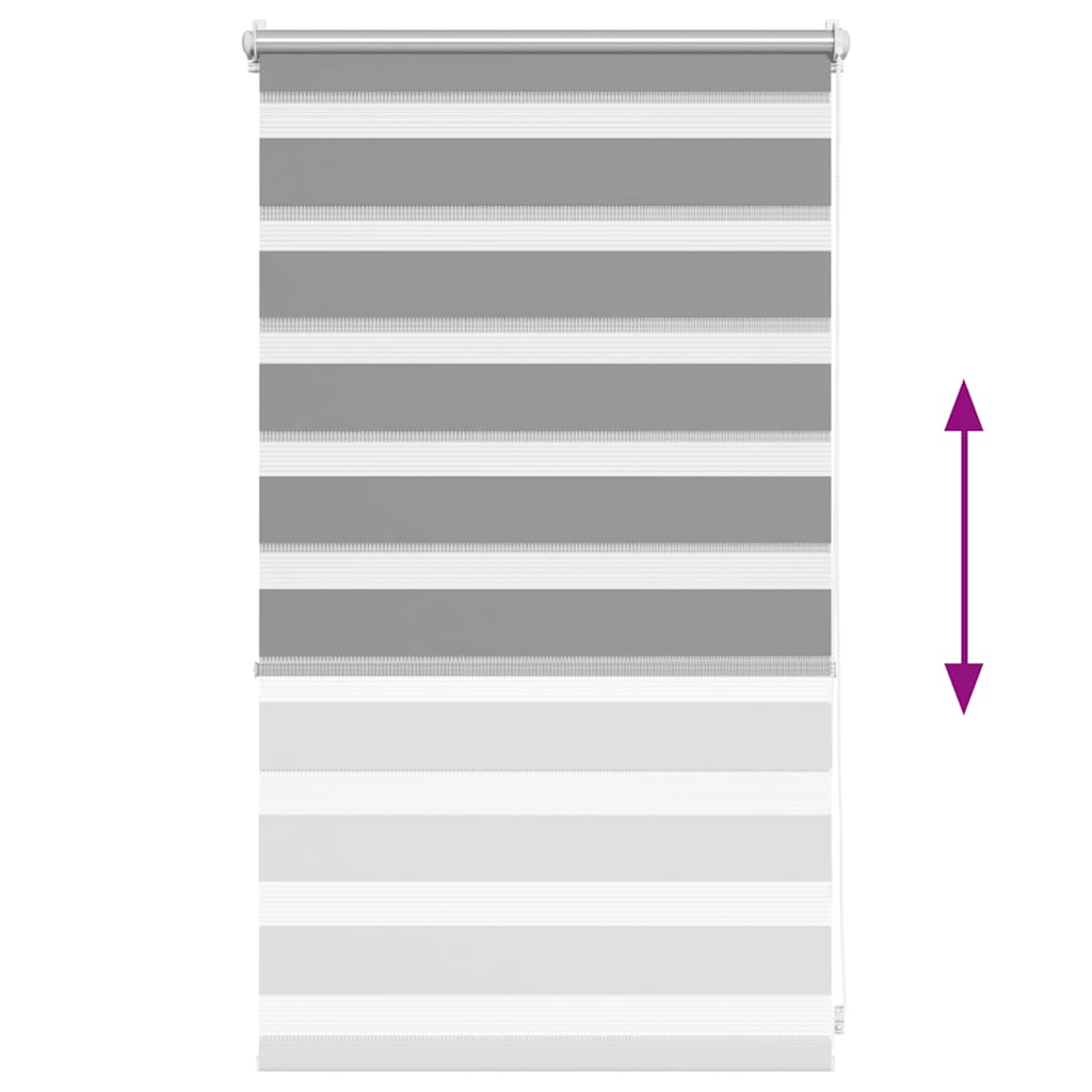 vidaXL Store enrouleur double 50,9 x 100 cm, largeur de tissu 46,7 cm, gris