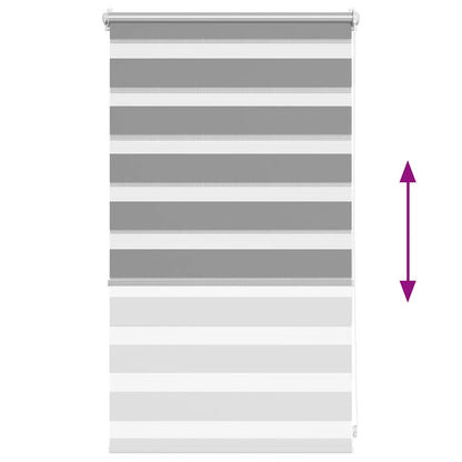 vidaXL Store enrouleur double 50,9 x 100 cm, largeur de tissu 46,7 cm, gris