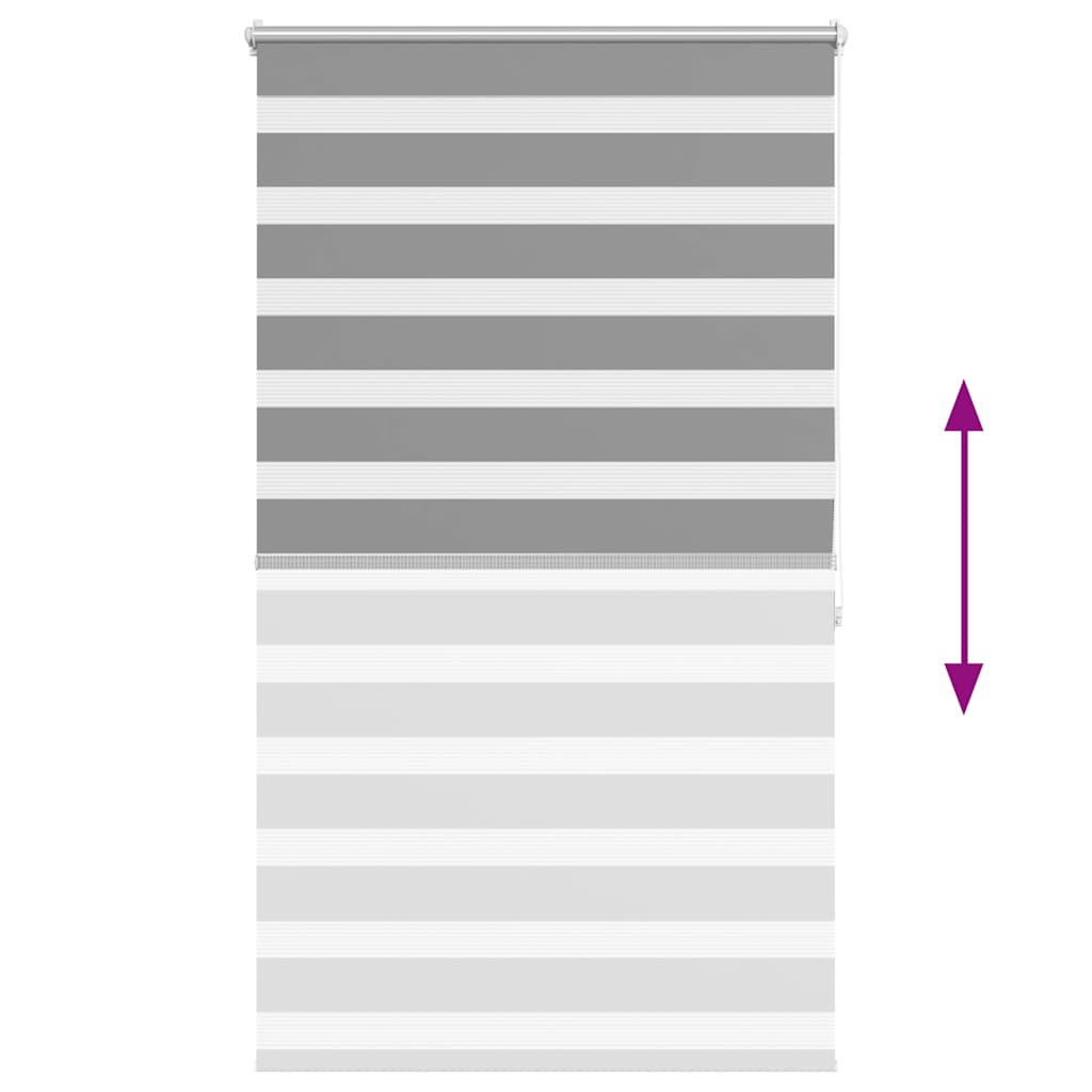vidaXL Store enrouleur jour nuit 80,9 x 175 cm, largeur de tissu 76,7 cm, gris