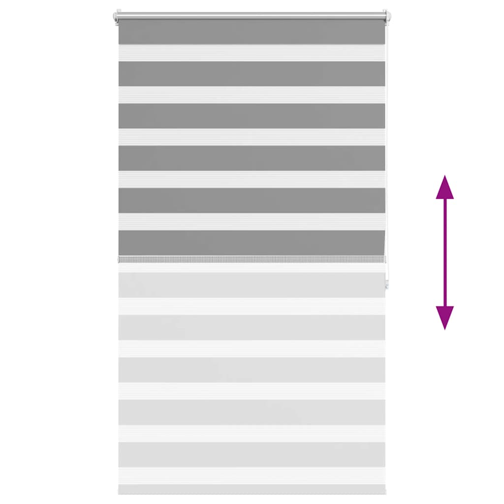 vidaXL Store Enrouleur Jour Nuit 100,9 x 175 cm, largeur de tissu 96,7 cm, gris