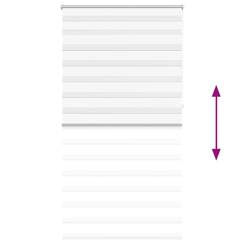 vidaXL Store enrouleur double 120,9 x 230 cm, largeur du tissu 116,7 cm, blanc