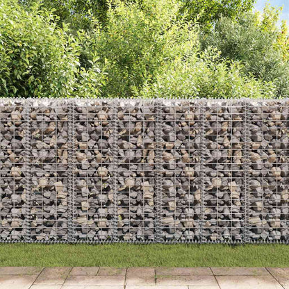 vidaXL Gabionenkorb avec couvercles, fil galvanisé 100 x 30 x 30 cm