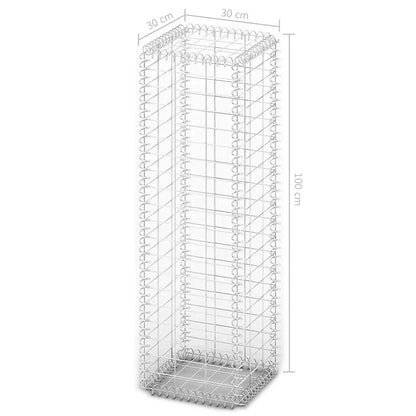 vidaXL Gabionenkorb avec couvercles, fil galvanisé 100 x 30 x 30 cm