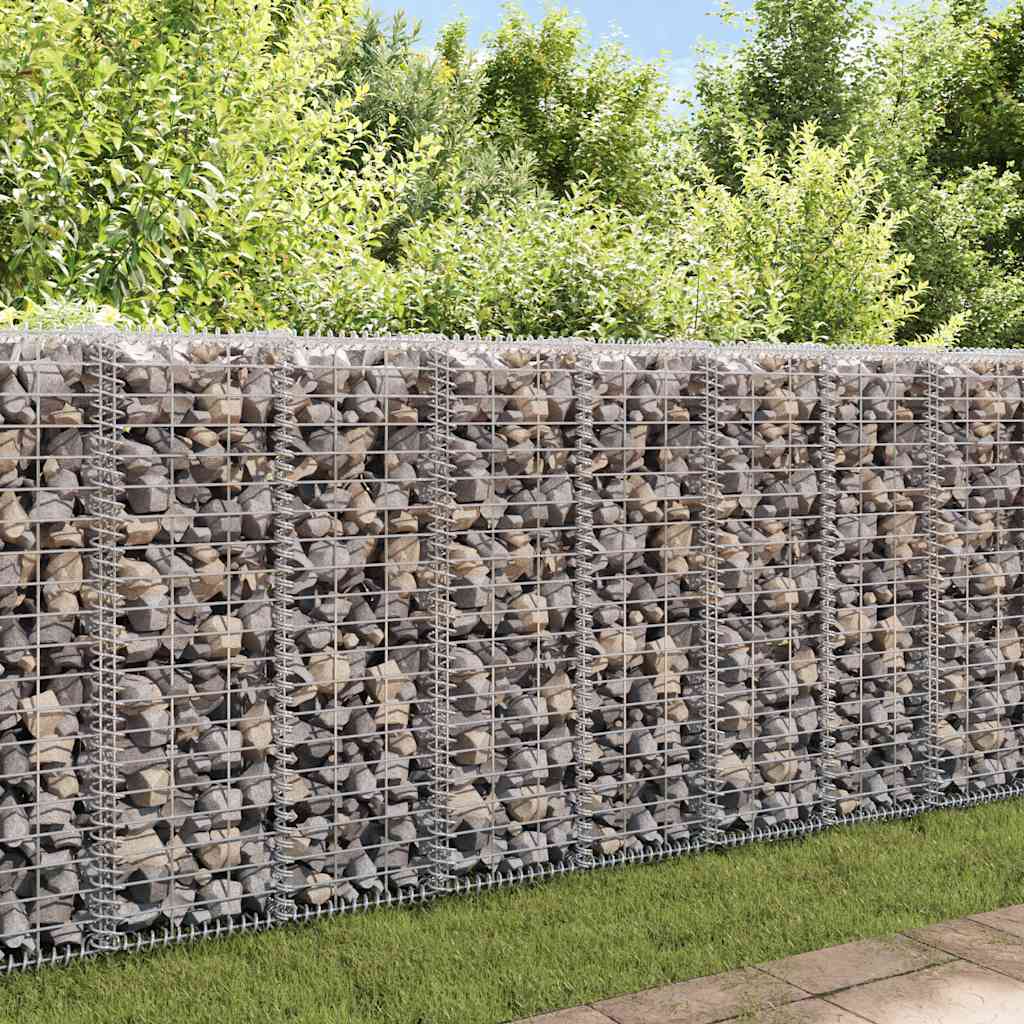 vidaXL Gabionenkorb avec couvercles, fil galvanisé 100 x 30 x 30 cm