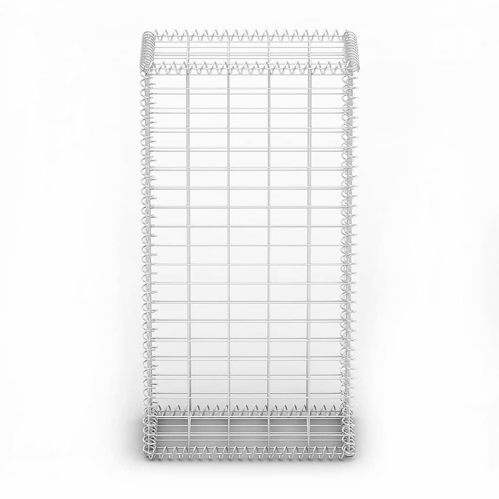 vidaXL Gabionenkorb avec couvercles, en fil de fer galvanisé 100 x 50 x 30 cm