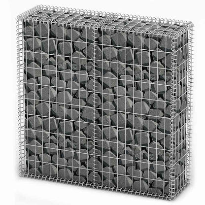 vidaXL Gabionenkorb avec couvercles, fil galvanisé 100×100×30 cm