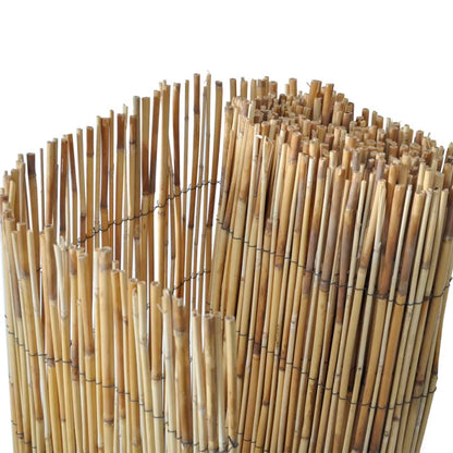 vidaXL Canisse 500x100 cm