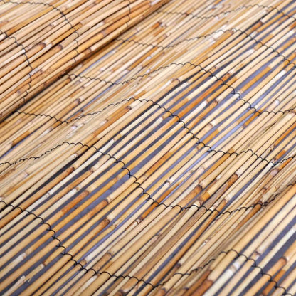 vidaXL Canisse 500x100 cm