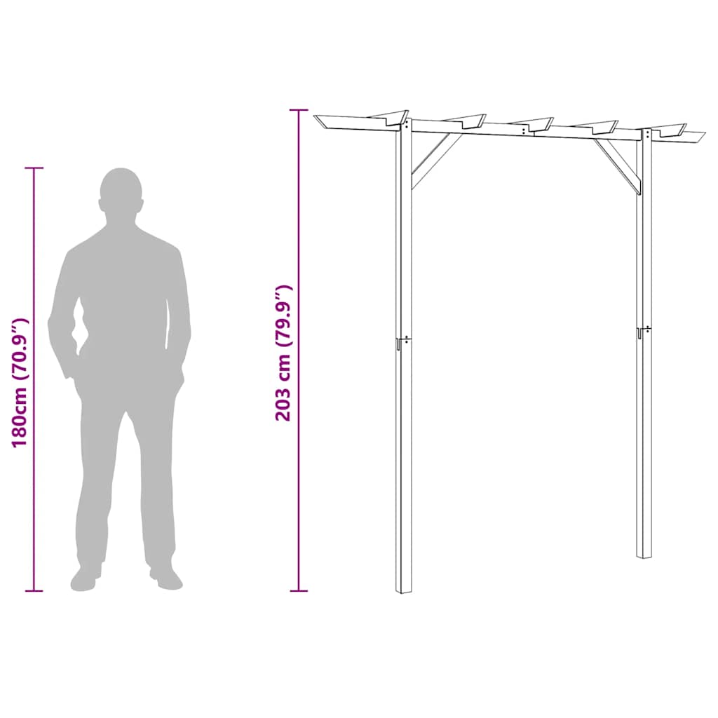 Gartenpergola 205x40x203 cm Holz