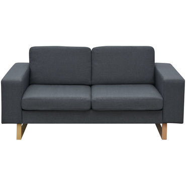 vidaXL Sofa 2-Sitzer Stoff Dunkelgrau