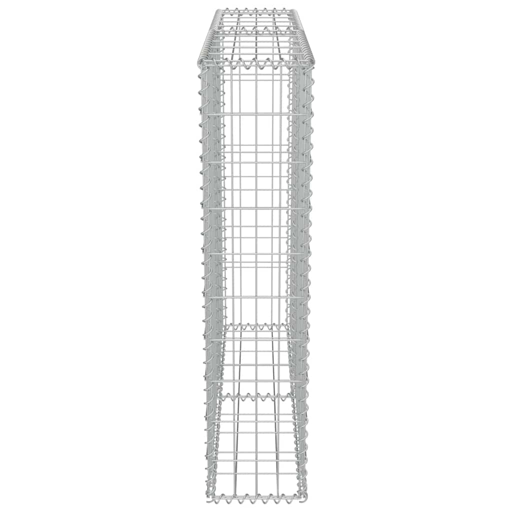 vidaXL Mur de gabions avec couvercle Acier galvanisé 100 x 20 x 100 cm