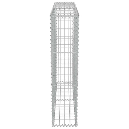 vidaXL Mur de gabions avec couvercle Acier galvanisé 100 x 20 x 100 cm
