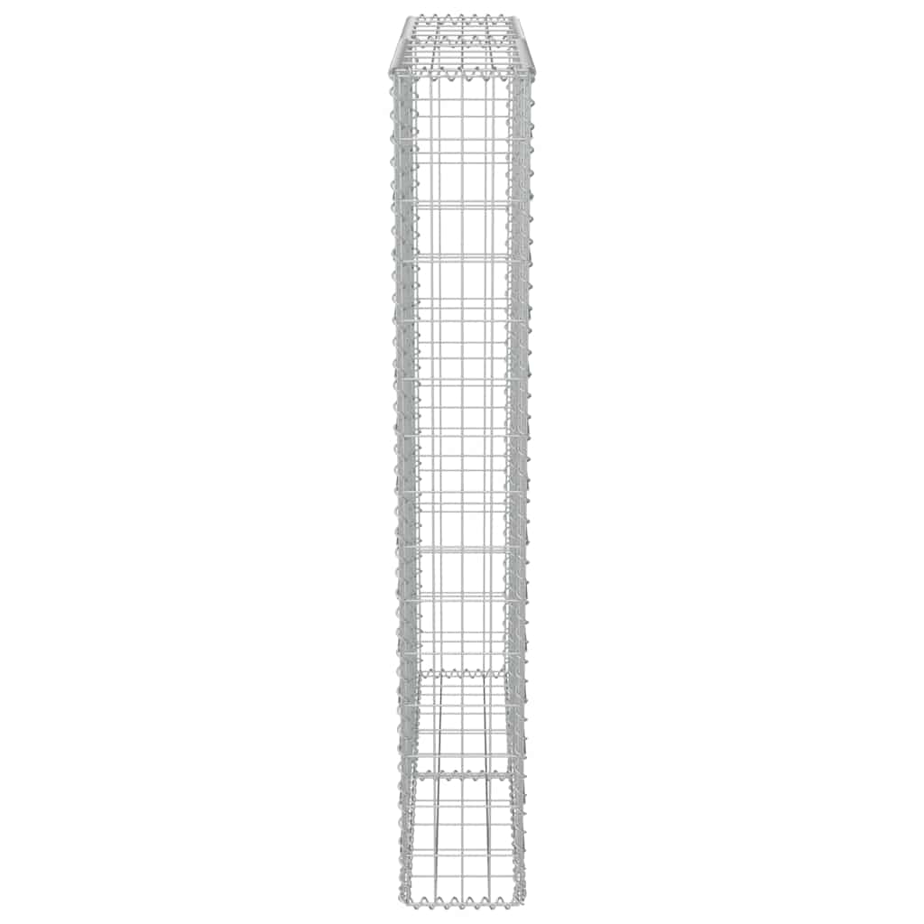vidaXL Mur de gabions avec couvercle Acier galvanisé 100x20x150 cm