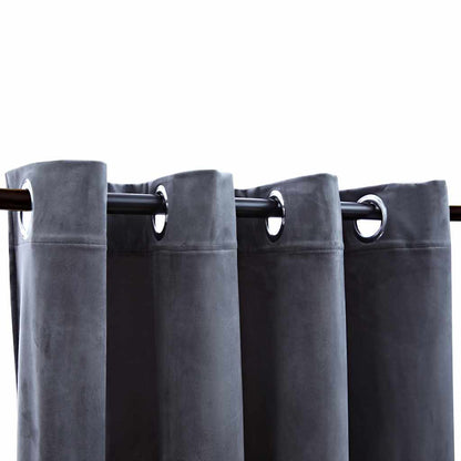 vidaXL Rideaux occultants à œillets 2 pcs Velours Anthracite 140x245 cm