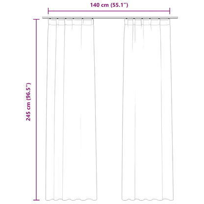 vidaXL Rideaux occultants avec crochets 2 pcs Velours Anthracite 140x245 cm