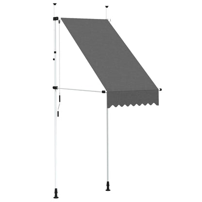 vidaXL Einziehbare Markise Handbetrieben 100 cm Anthrazit