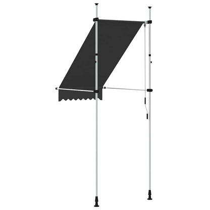 vidaXL Einziehbare Markise Handbetrieben 100 cm Anthrazit