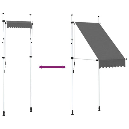 vidaXL Einziehbare Markise Handbetrieben 100 cm Anthrazit