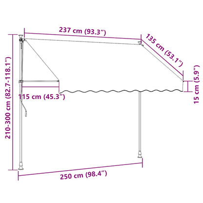vidaXL Einziehbare Markise Handbetrieben mit LED 250 cm Blau und Weiß