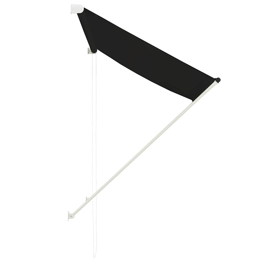 vidaXL Einziehbare Markise 100×150 cm Anthrazit