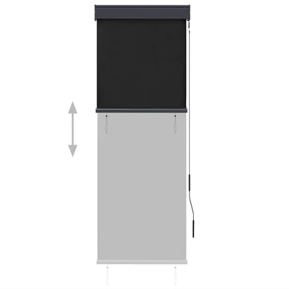 vidaXL Store extérieur 60 x 250 cm Anthracite