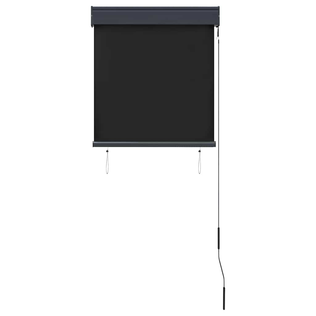 vidaXL Store extérieur 60 x 250 cm Anthracite