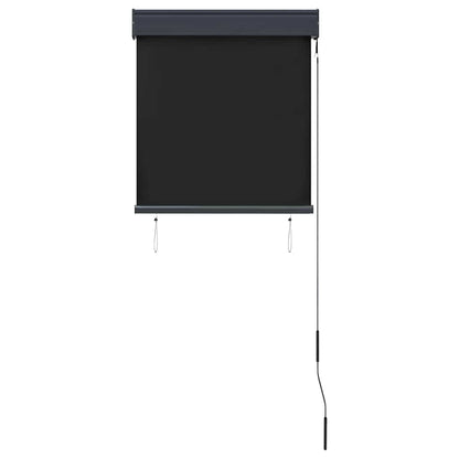 vidaXL Store extérieur 60 x 250 cm Anthracite