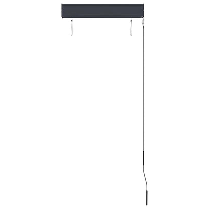 vidaXL Store extérieur 60 x 250 cm Anthracite