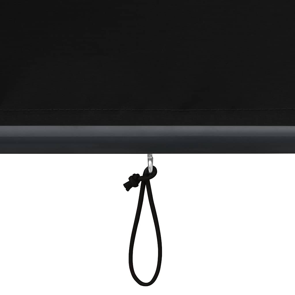 vidaXL Store extérieur 60 x 250 cm Anthracite