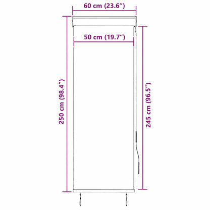 vidaXL Store extérieur 60 x 250 cm Anthracite