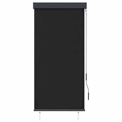 Store extérieur vidaXL 80 x 250 cm anthracite