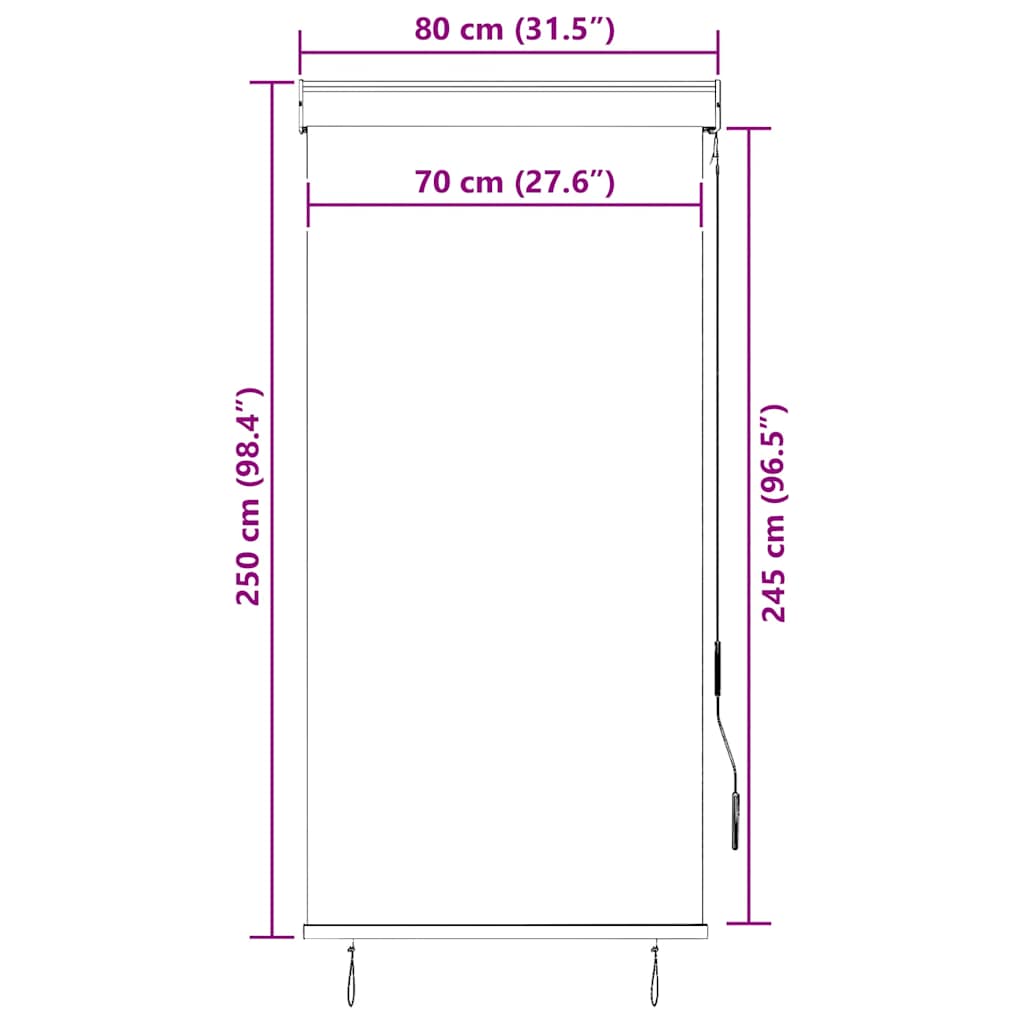 Store extérieur vidaXL 80 x 250 cm anthracite