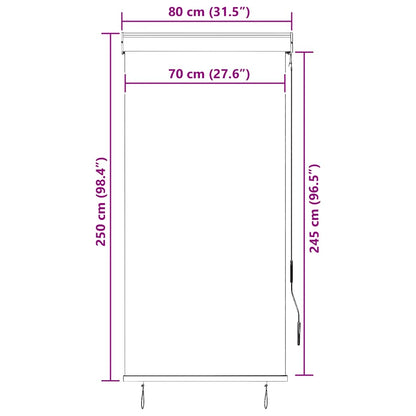 Store extérieur vidaXL 80 x 250 cm anthracite