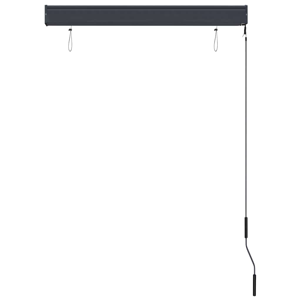 vidaXL Außenrollo 100 x 250 cm Blau und Weiß