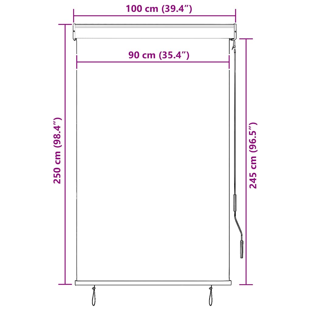 vidaXL Außenrollo 100 x 250 cm Blau und Weiß