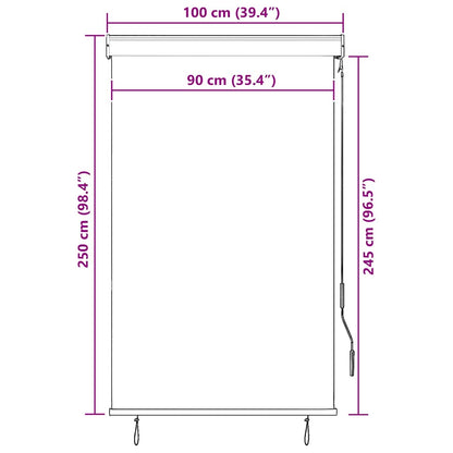vidaXL Außenrollo 100 x 250 cm Blau und Weiß