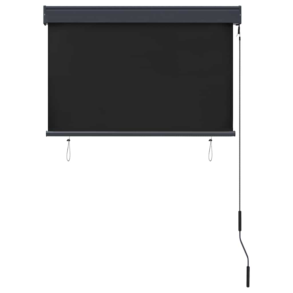 Store extérieur vidaXL 100 x 250 cm Anthracite