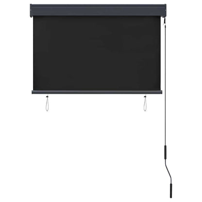 Store extérieur vidaXL 100 x 250 cm Anthracite
