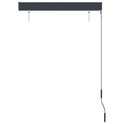 Store extérieur vidaXL 100 x 250 cm Anthracite