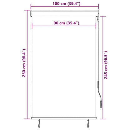 vidaXL Store enrouleur d'extérieur 100 x 250 cm Blanc crème