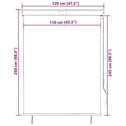 vidaXL Store extérieur 120 x 250 cm Bleu et Blanc