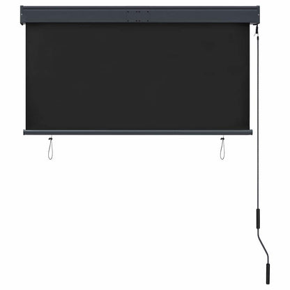 vidaXL Store d'extérieur 120 x 250 cm Anthracite