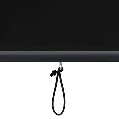 vidaXL Store d'extérieur 120 x 250 cm Anthracite