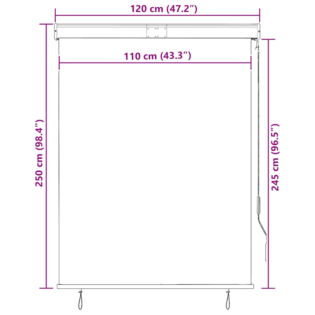 vidaXL Store d'extérieur 120 x 250 cm Anthracite