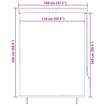 vidaXL Store d'extérieur 120 x 250 cm Anthracite