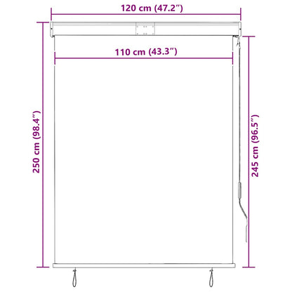 vidaXL Store enrouleur d'extérieur 120 x 250 cm orange et marron