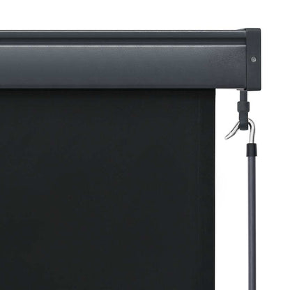 vidaXL Store extérieur 140x250 cm Anthracite