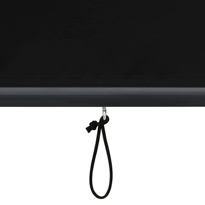 vidaXL Store extérieur 140x250 cm Anthracite